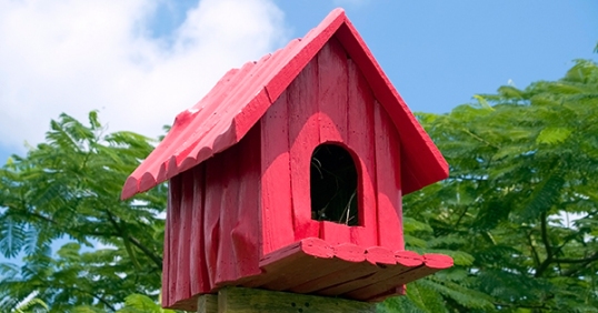 Birdhouse-Red